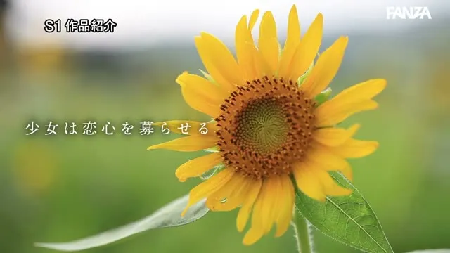 教員生活27年で一番美人な教え子の甘い求愛に人生を棒にふりそうな俺 河北彩伽 動画キャプチャ 3